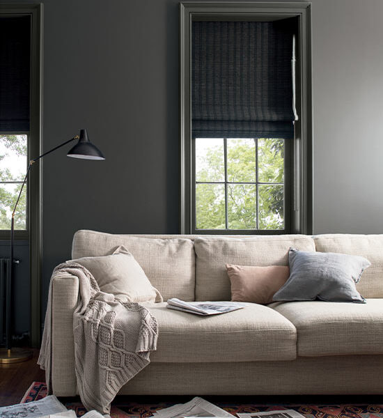 dark gray living room inspiration carousel 550x650