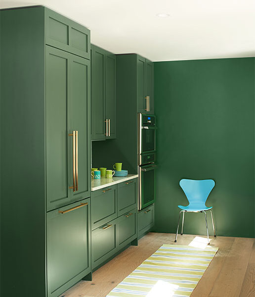 green-cabinets-modal_516x650