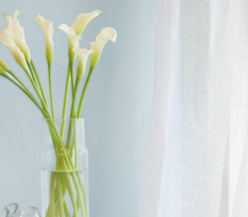 personal color pallet bg mobile